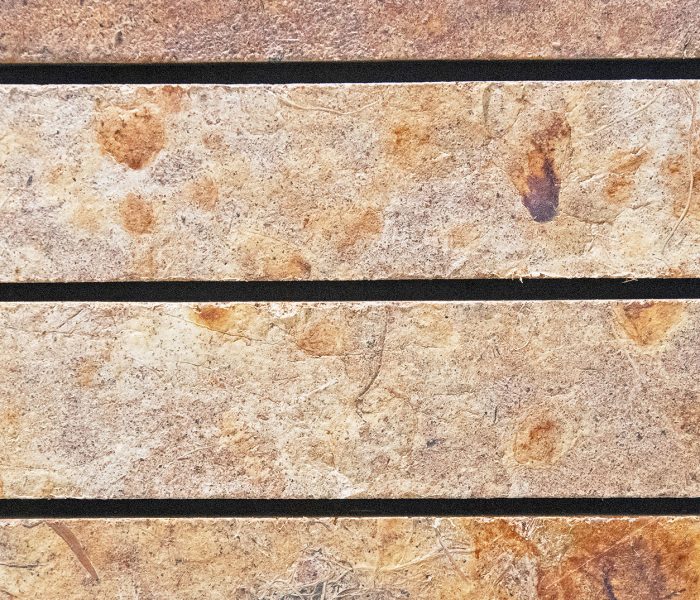 Our-material-leverages-the-natural-properties-of-mycelium