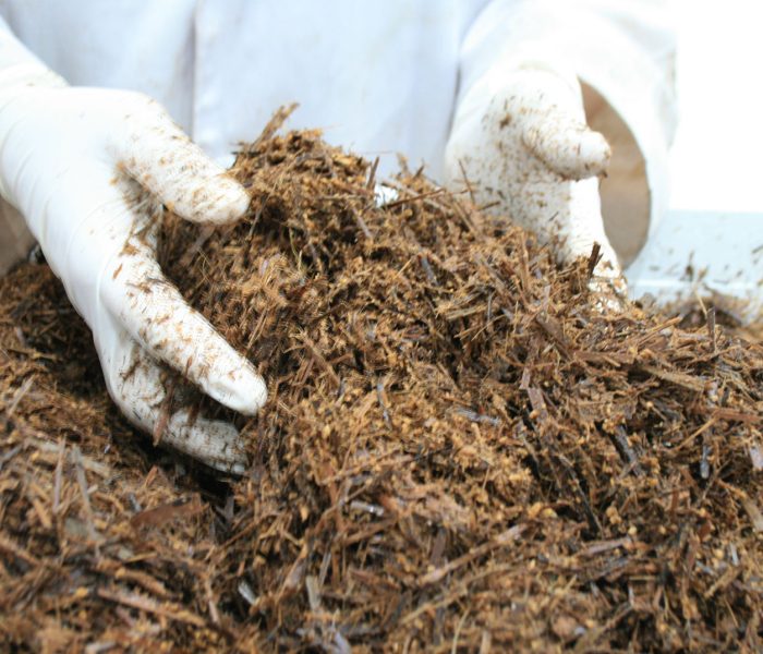 Sustainability & Environmental Impact