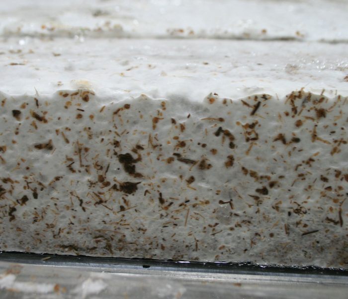 mycosphere-products-page-3